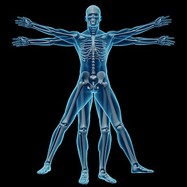 Chiropractic Care Portsmouth NH - Seacoast Sports Injuries